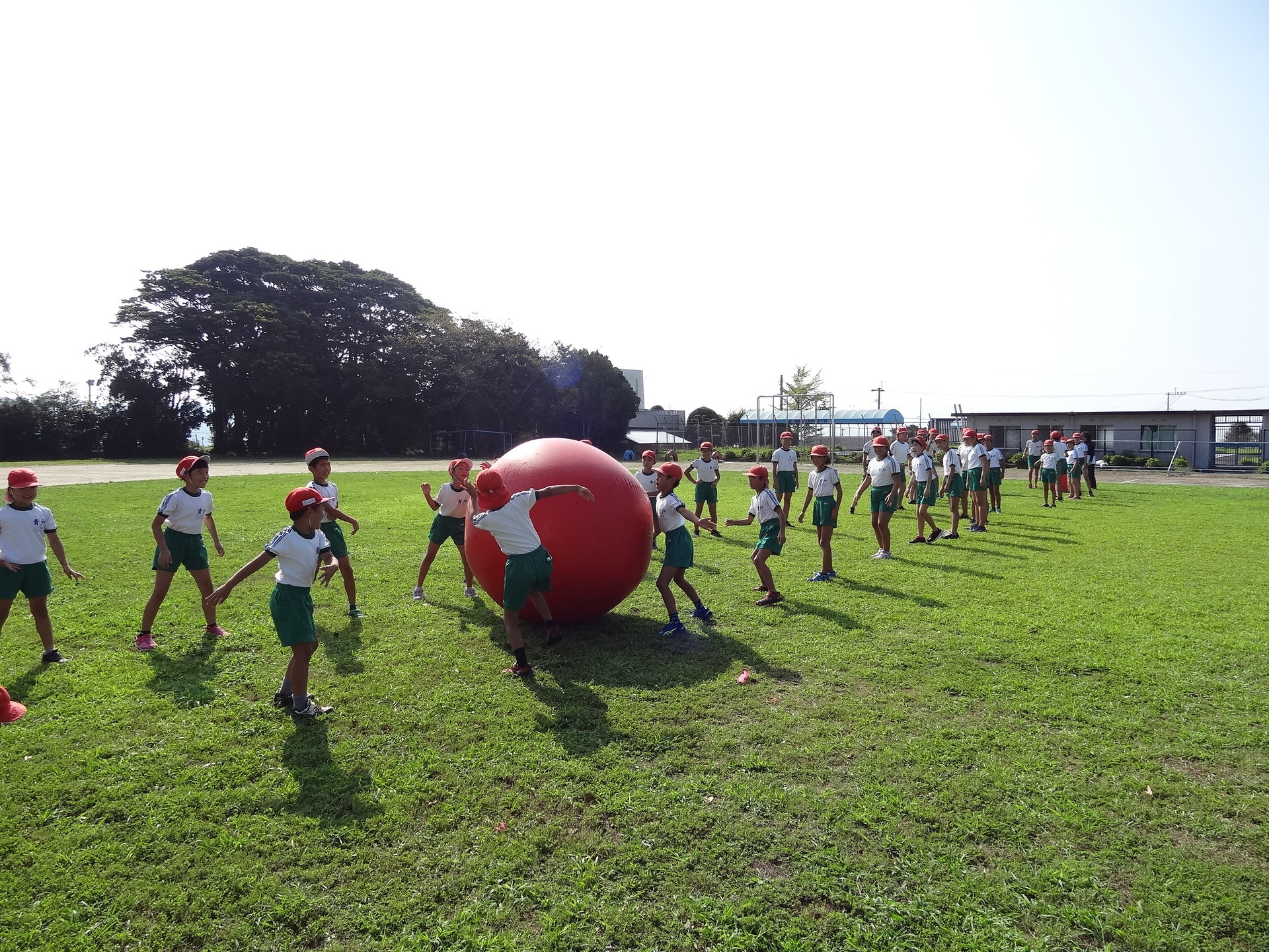 大玉転がし 青戸小ブログ 南九州市